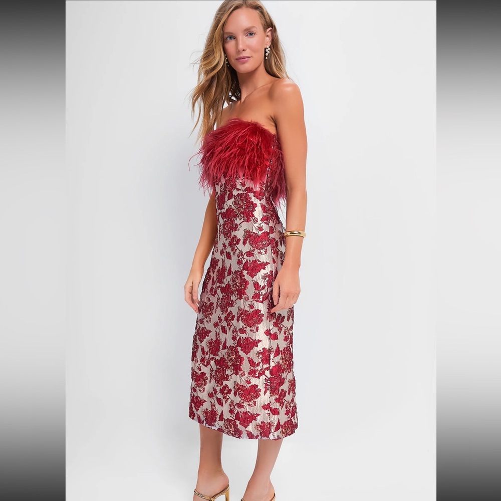 NWT Tuckernuck Red Feather Dress ❤️